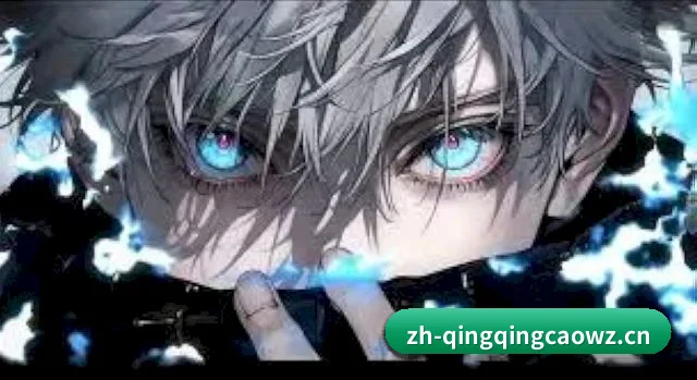跨洋追星